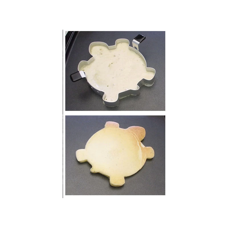 Turtle Shape-Its Food Form - Image 2
