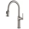 Sellette 2-Function Pull-Down 1-Handle 1-Hole Kitchen Faucet Spot Free Stainless