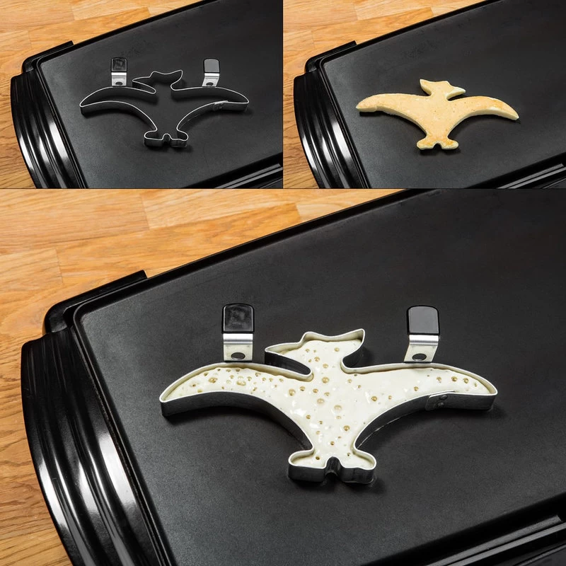 Pterodactyl Shape-Its Food Form - Image 2