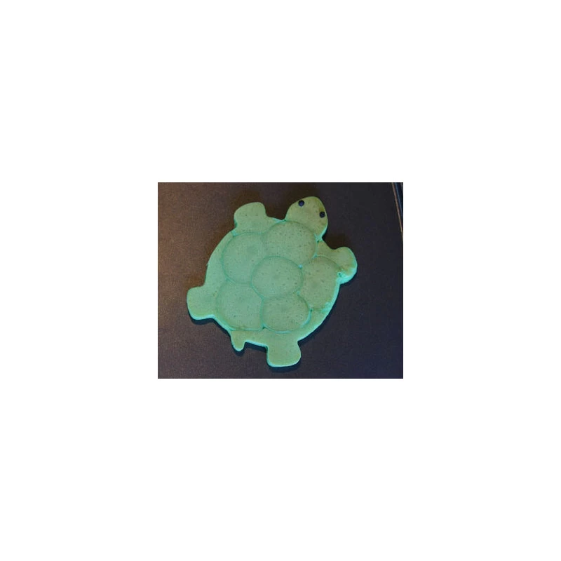 Turtle Shape-Its Food Form - Image 3