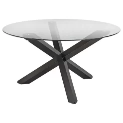Spiro 55" Modern Tempered Glass Top Dining Table