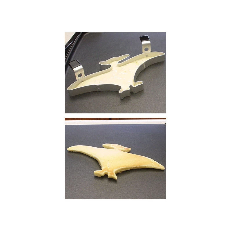 Pterodactyl Shape-Its Food Form - Image 3