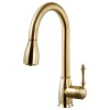 Camden Pull Down Kitchen Faucet With CeraDox Technology, Brushed Brass