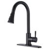 Pull Down Single Handle Kitchen Faucet, Matte Black