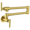 2-Handle Wall Mounted Pot Filler, Brushed Gold
