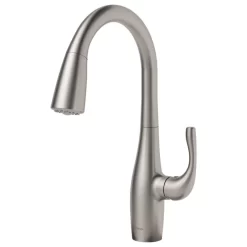 Esina 2-Function Pull-Down 1-Handle 1-Hole Kitchen Faucet Spot Free Stainless