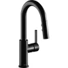 Elkay Avado 1.8 GPM Pullout Spray 1 Hole Bar Faucet Matte Black, LKAV3032MB