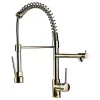 Single Hole Pull Out Spring Sprayer Dual Spout Kitchen Faucet Brass In Gold
