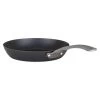 Blue Steel 10" Fry Pan