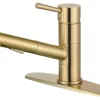 Gourmetier LS8403DL Concord Single-Handle Pull-Out Kitchen Faucet, Brushed Brass