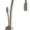 InSinkErator Indulge Contemporary Hot Only Faucet, Polished Nickel
