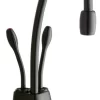 InSinkErator Indulge Contemporary Hot/Cool Faucet, Matte Black